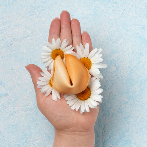 Petal Perfection Treatment